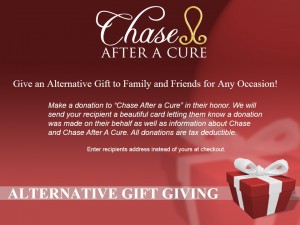 Alternative Gift Giving website
